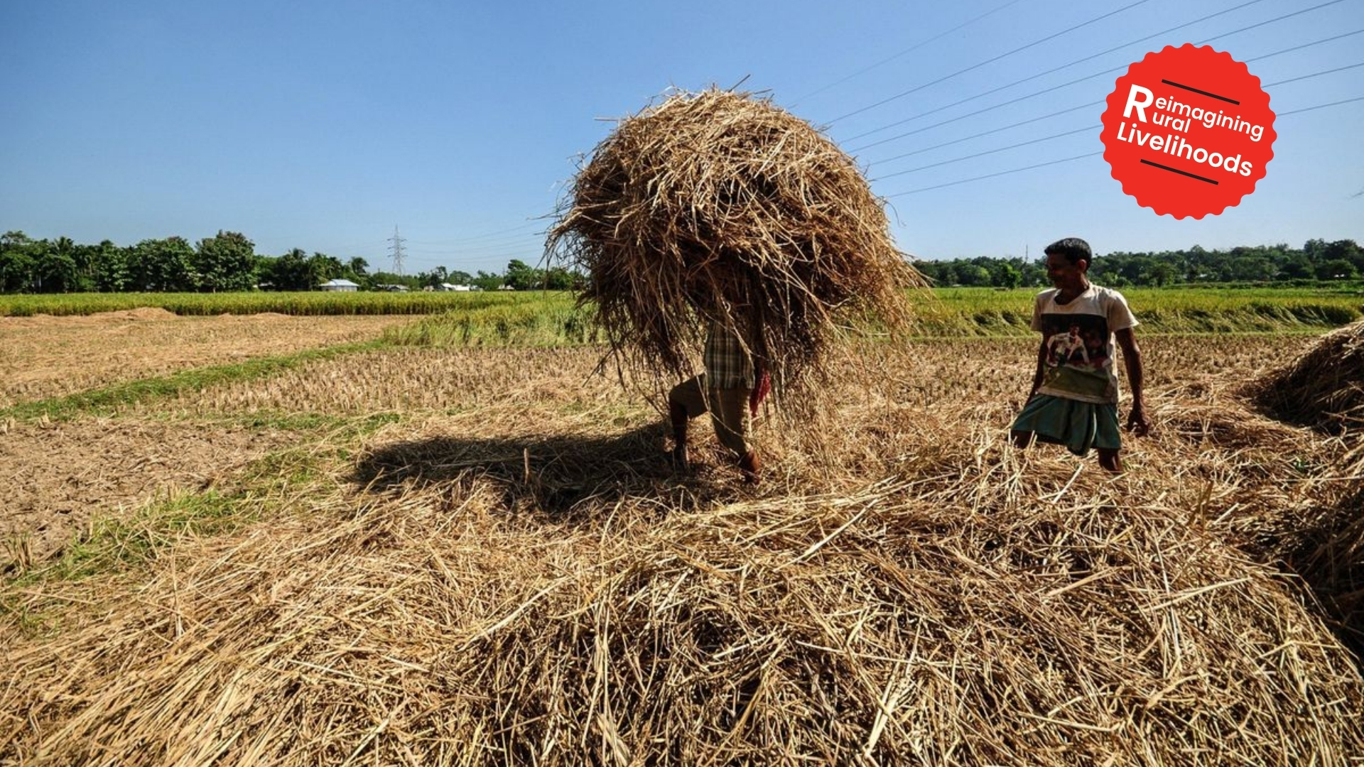 Turning Agri-Waste into Wealth