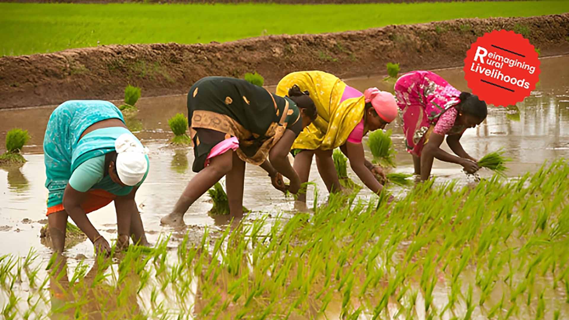 Quenching Climate Needs