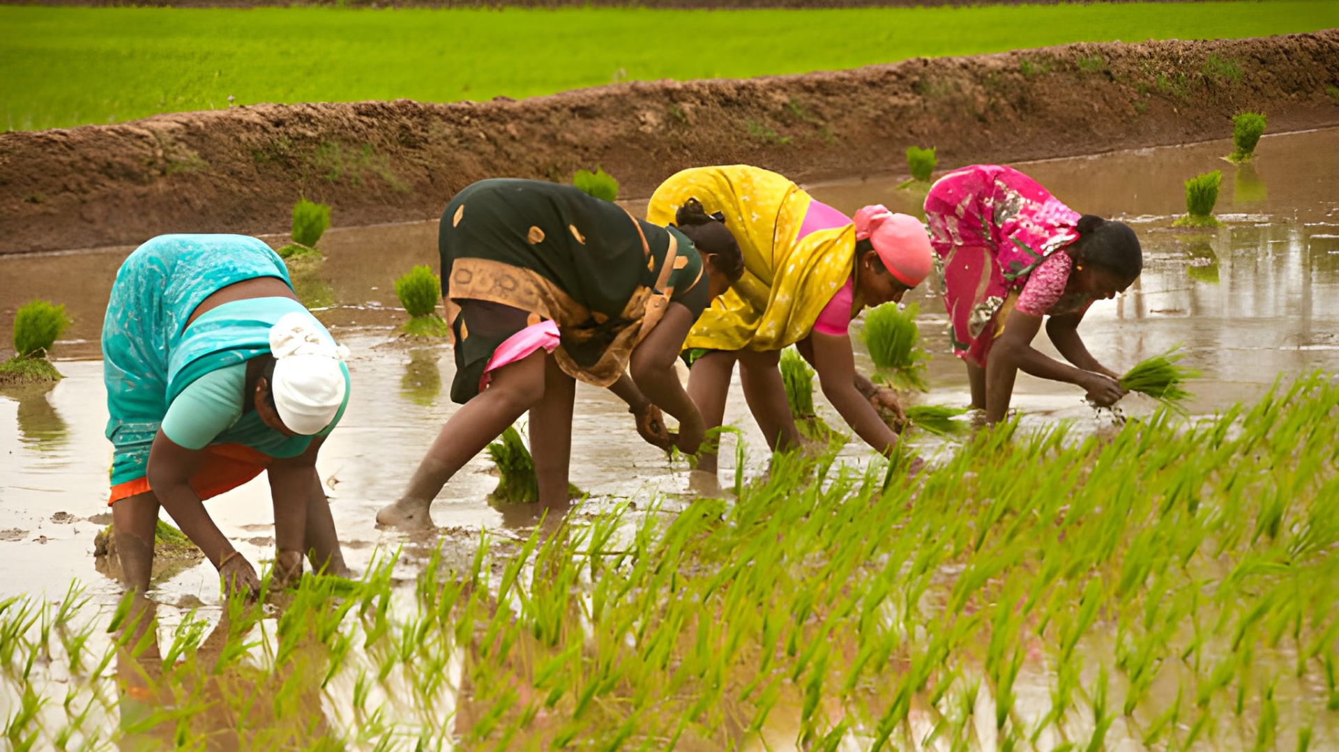 Quenching Climate Needs
