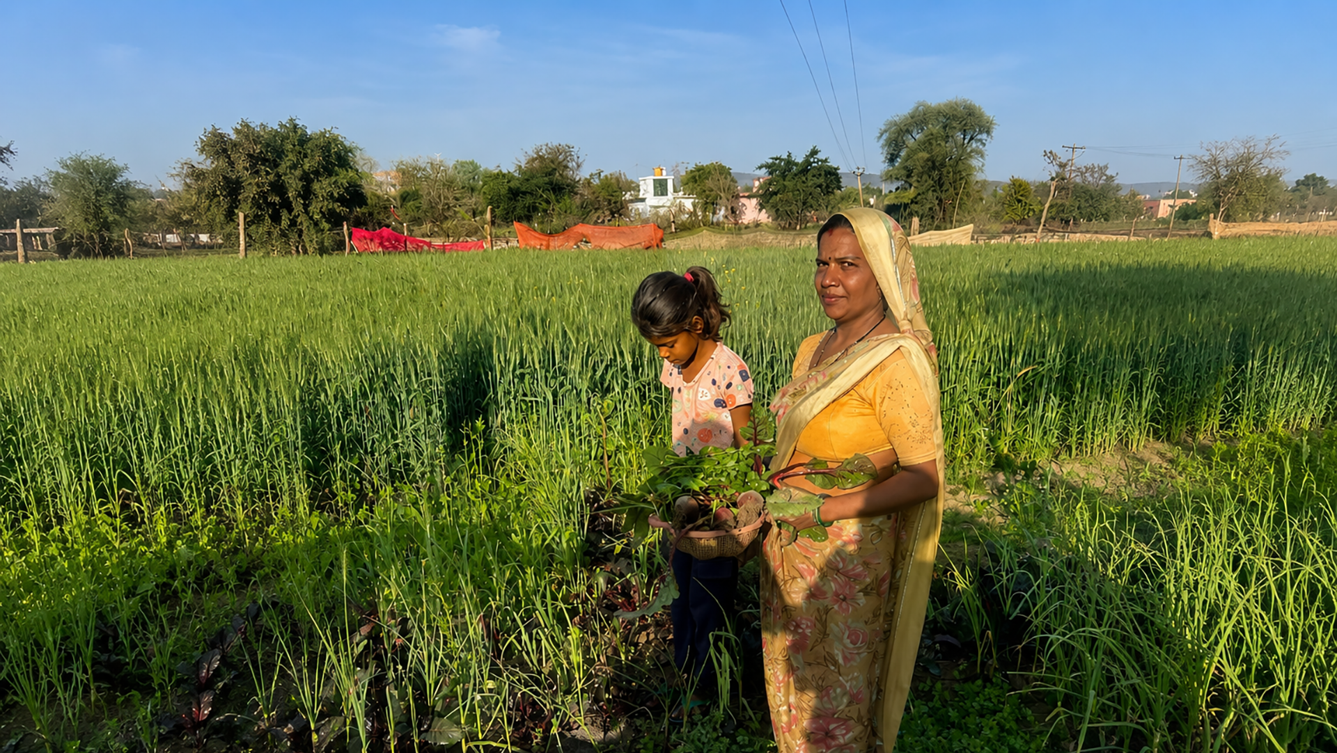 India’s Heat Crisis Is Now a Hunger Crisis